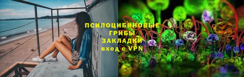 Псилоцибиновые грибы ЛСД  kraken сайт  Киреевск 